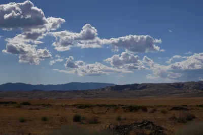 DSC_2311 (Large).JPG